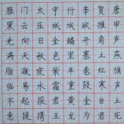 小学语文同步练字模板最美中国字小米格专用本
