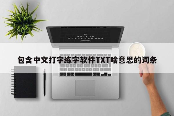 包含中文打字练字软件TXT啥意思的词条