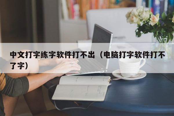 中文打字练字软件打不出（电脑打字软件打不了