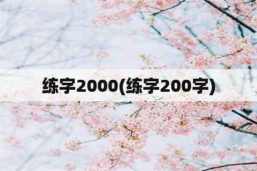 练字2000(练字200字)