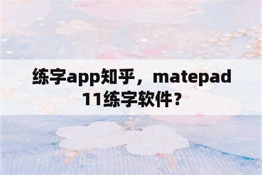 练字app知乎，matepad11练字软件？