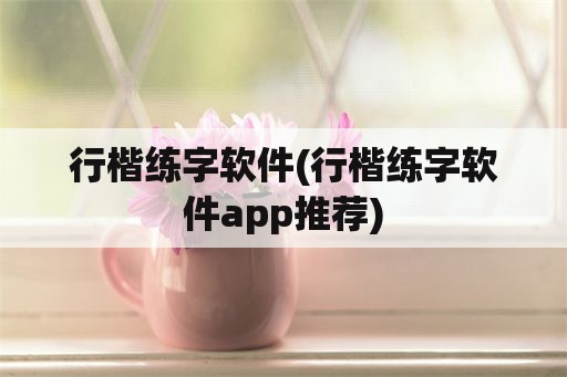 行楷练字软件(行楷练字软件app推荐)