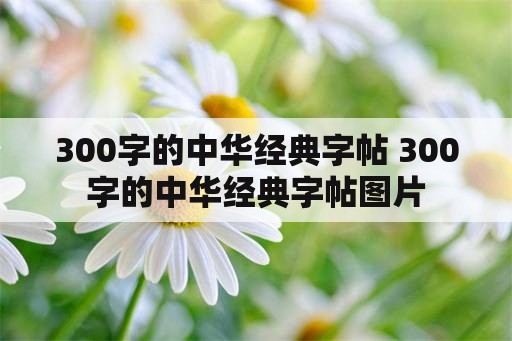 300字的中华经典字帖 300字的中华经典字帖图片