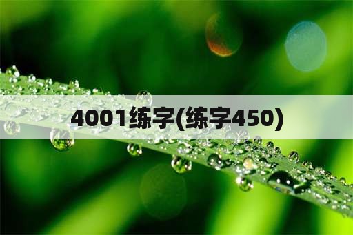 4001练字(练字450)