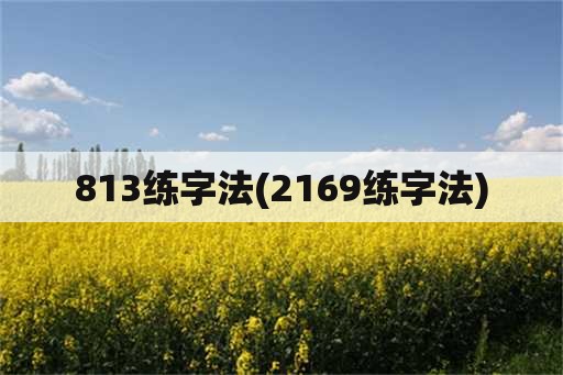813练字法(2169练字法)