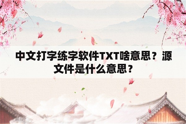 中文打字练字软件TXT啥意思？源文件是什么意思？